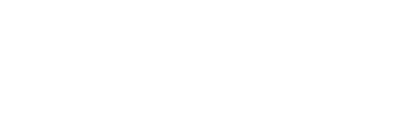 Cornelia Scherer - Effizient, kreativ und zukunftssicher – mit der Power von KI für dein Business. 1 signature